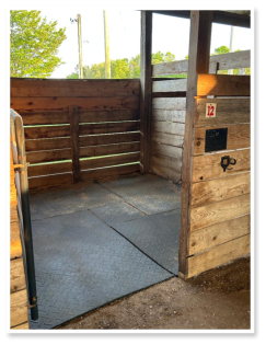horse stall