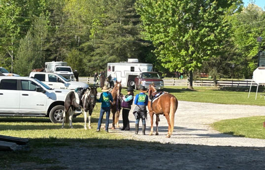friends meeting before going for a ride