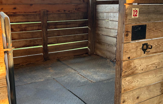 horse stall for horses