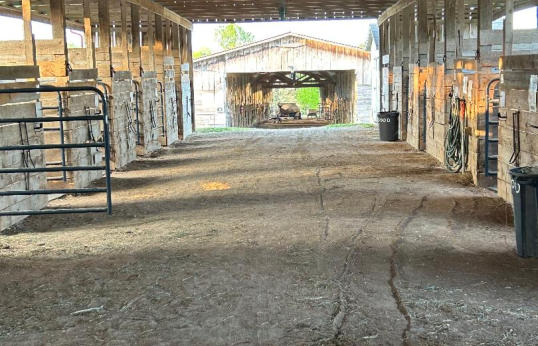 multiple stalls for horses to stay in while staying here