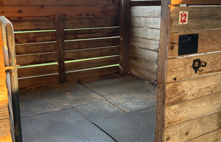 horse stall for horses