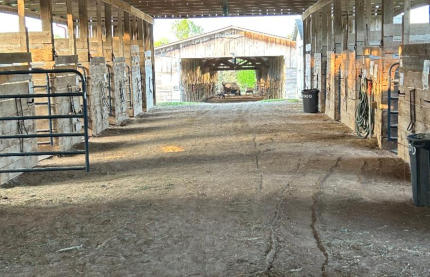 multiple stalls for horses to stay in while staying here