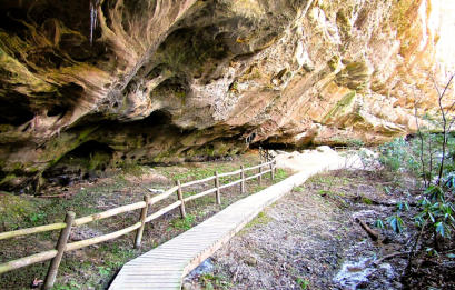 Pickett CCC Memorial State Park
